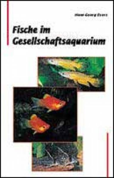 Fische im Gesellschaftsaquarium